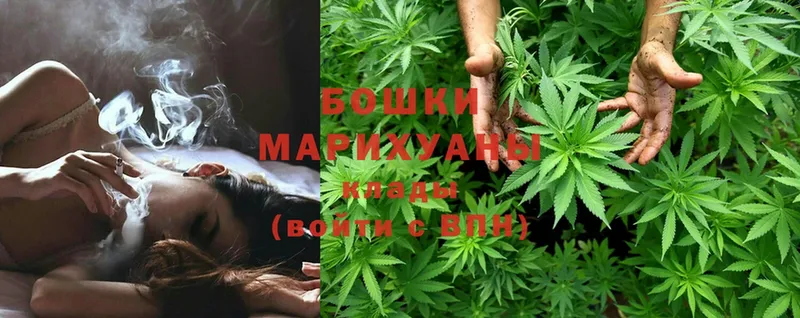 Шишки марихуана LSD WEED  закладка  Александровск-Сахалинский 